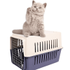 Plastic Cat & Dog Carrier Cage with Chrome Door Portable Pet Box Airline Approved, Medium Blue